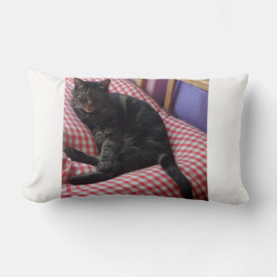 Cute Dave Lumbar Pillow Lumbarkudde