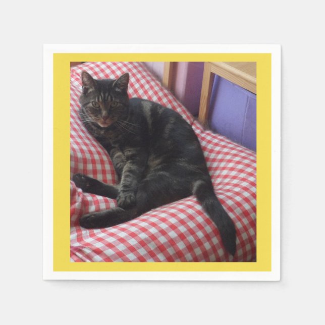Cute Dave Papper napkins Pappersservett (Framsidan)