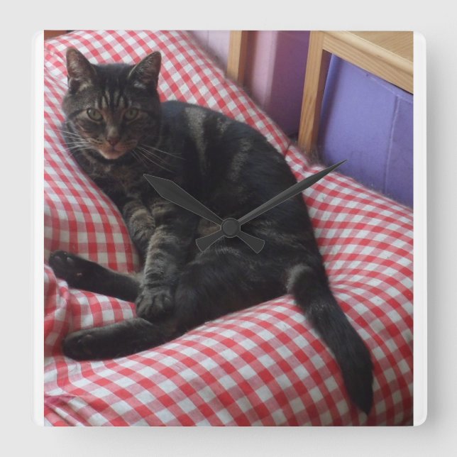 Cute Dave Square Acrylic Clock Fyrkantig Klocka (Framsida)