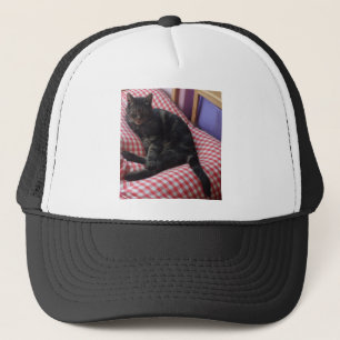 Cute Dave Truckerkeps