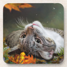Cute Daydreaming Tabby katt i en automatisk skog