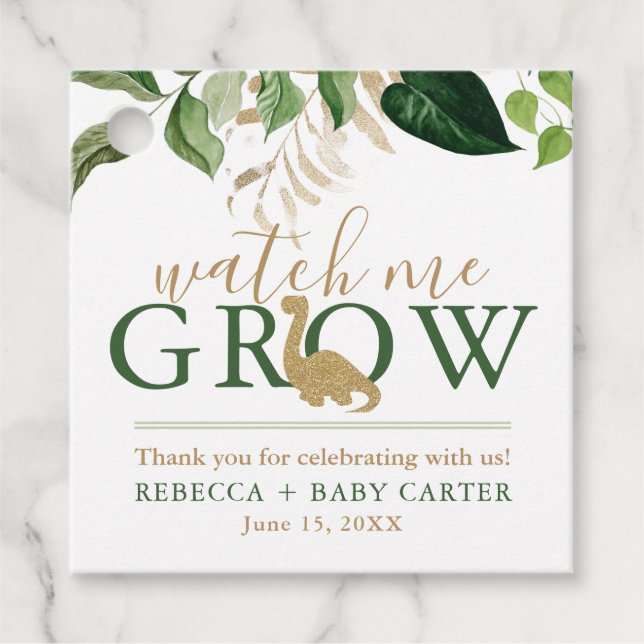 Cute Dinosaur Watch me Grow Succulary Plant Gåvor Etiketter (Framsida)