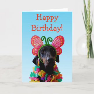 Cute Doberman hund butterfly-födelsedag Kort