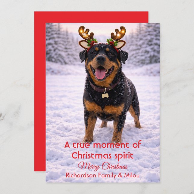 Cute Dog Christmas Sweet Quote | Holiday Card Julkort (Fram/baksida)