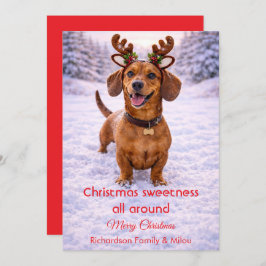 Cute Dog Christmas Sweet Quote | Holiday Card Julkort