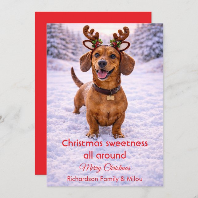 Cute Dog Christmas Sweet Quote | Holiday Card Julkort (Fram/baksida)