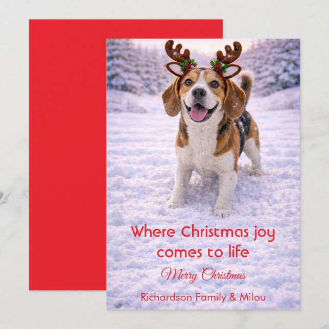 Cute Dog Christmas Sweet Quote | Holiday Card Julkort (Fram/baksida)