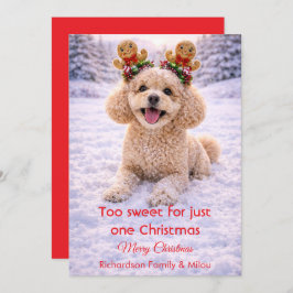 Cute Dog Christmas Sweet Quote | Holiday Card Julkort