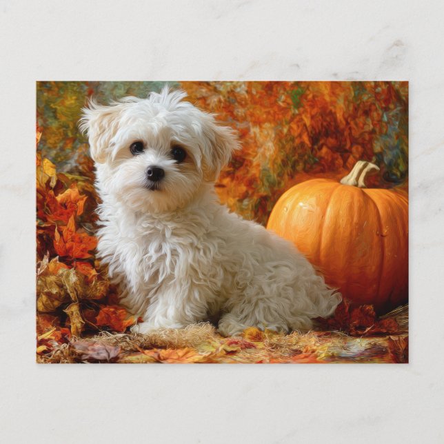 Cute Dog Fall Autumn Pumpkin Fall Leaves Design Vykort (Framsida)
