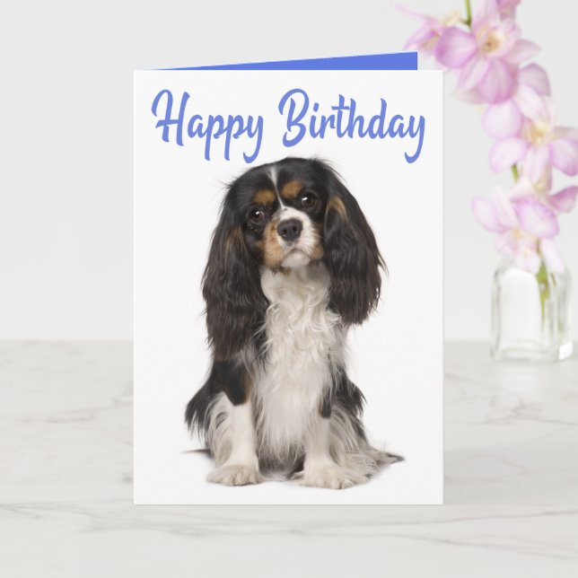 Cute Dog King Charles Cavalier Spaniel Birthday Kort (Orkide)