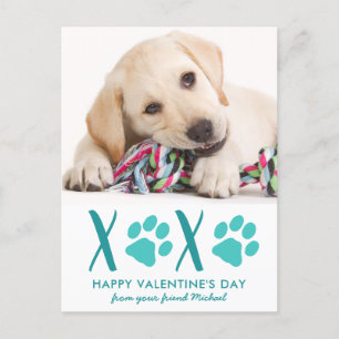 Cute Dog Pet Photo XOXO Valentine's Day Card Helg Vykort