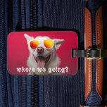 Cute Dog Photo Bagagebricka<br><div class="desc">"Where we going?" text over a cute dog photo (can be changed to your dog) on a fun luggage tag with a slot for a business card on the back.</div>