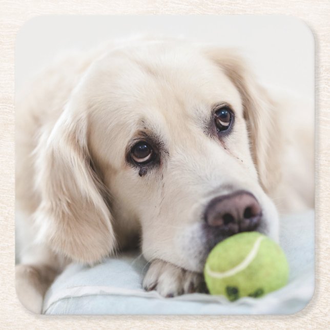 Cute Dog underlägg 7 Papper Kvadrat (Framsidan)