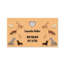 Cute DOG WALKER PET-SITTER