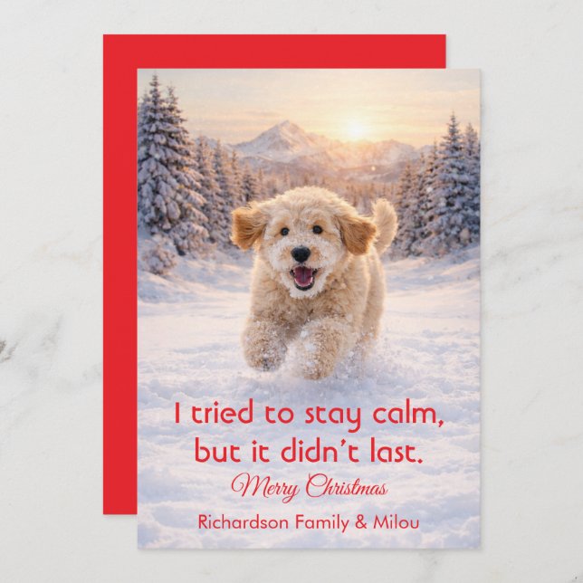 Cute Dog with Christmas Funny Quote | Holiday Card Julkort (Fram/baksida)