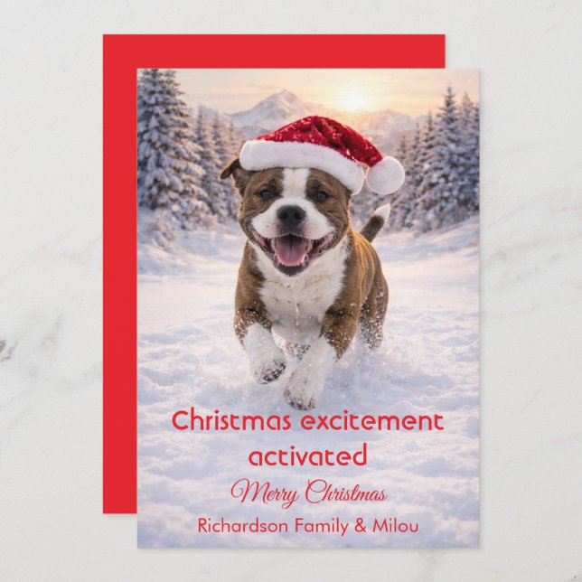 Cute Dog with Christmas Funny Quote | Holiday Card Julkort (Fram/baksida)