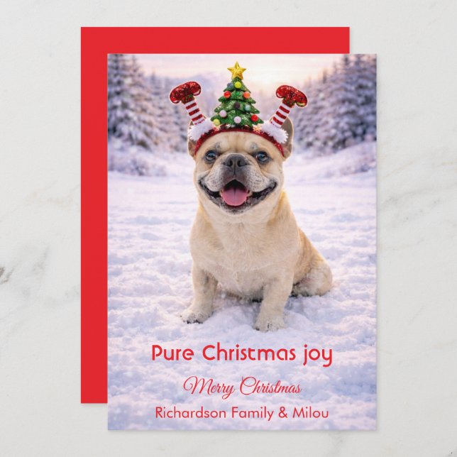 Cute Dog with Christmas Tender Quote  Holiday Card Julkort (Fram/baksida)