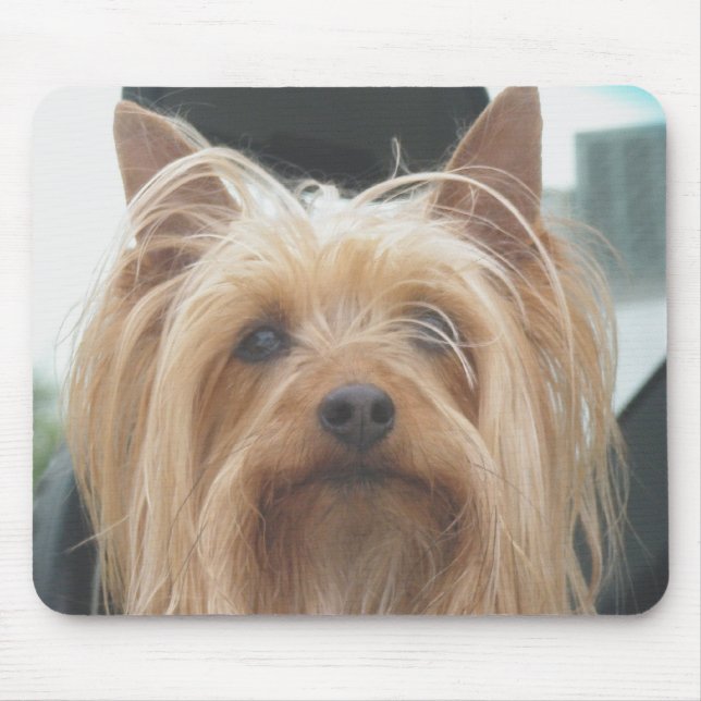 Cute Doggie Mousepad Musmatta (Framsidan)