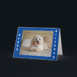 **CUTE DOGGIE ÖNSKEMÅL** FRIENDS BIRTIDKORT KORT<br><div class="desc">KORT ***BIRDAGKORT *** MED DEN HÄR SVEET-HUND FÖR "DIN VÄNNE" OCH TACK FÖR ATT DU STOPPADE MED ETT AV MINA ÅTTA LAGER!!!!!</div>