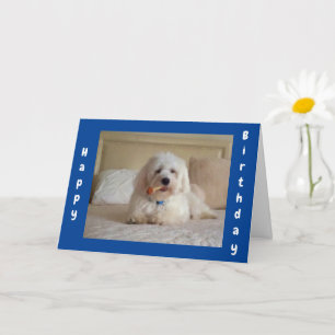 **CUTE DOGGIE ÖNSKEMÅL** FRIENDS BIRTIDKORT KORT