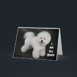 **CUTE DOGGIE ÖNSKEMÅL** LYCKLIG *40th* BIRTHDAY Kort<br><div class="desc">KÖP ***BIRTHDAG 40 BIRTHDAY-KORT** MED DEN HÄR SVETSKÅP FÖR "DINA VÄNNER" OCH TACK FÖR ATT DU STOPPADE MED ETT AV MINA ÅTTA LAGER!!!!!!</div>