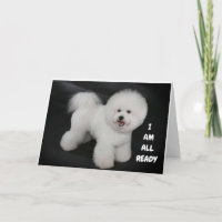 **CUTE DOGGIE ÖNSKEMÅL** LYCKLIG *40th* BIRTHDAY