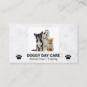 Cute Doggies Sitta   Groomer   Utbildare Visitkort