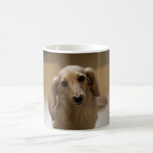 Cute doggy kaffemugg