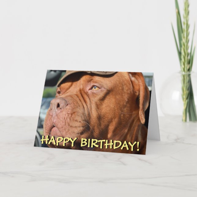 Cute dogue de bordeaux-fotofödelsedagskort kort (Framsida)