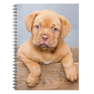 Cute Dogue de Bordeaux Puppy Hund Anteckningsbok