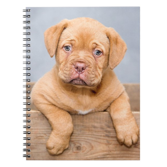 Cute Dogue De Bordeaux Puppy Hund Anteckningsbok (Framsidan)