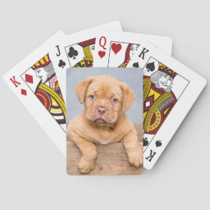 Cute Dogue De Bordeaux Puppy Hund Casinokort
