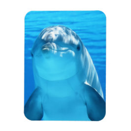 Cute Dolphin Marine Animal in Blue Sea Magnet