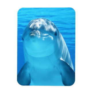 Cute Dolphin Marine Animal in Blue Sea Magnet