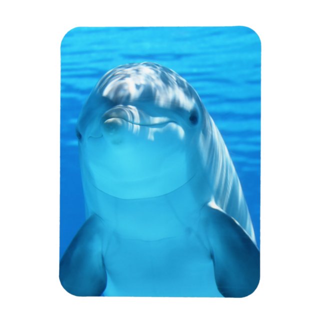Cute Dolphin Marine Animal in Blue Sea Magnet (Vertikal)