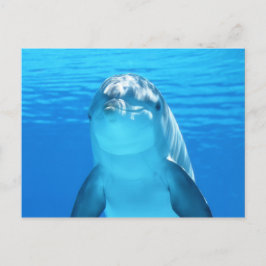Cute Dolphin Marine Animal in Blue Sea Vykort