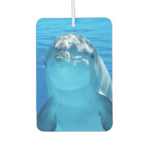 Cute Dolphin Smiling Ocean Dolphin Älskare