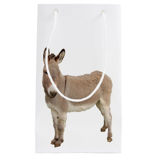 Cute Donkey Burro-foto (Framsidan)