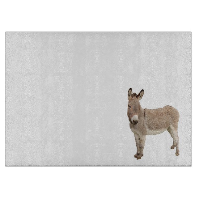 Cute Donkey Burro-foto (Framsidan)