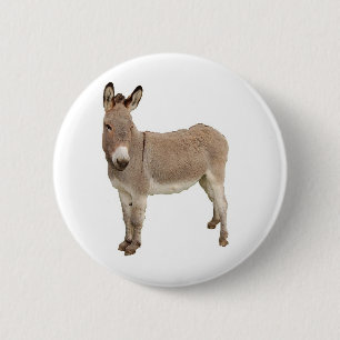 Cute Donkey Burro-foto Knapp