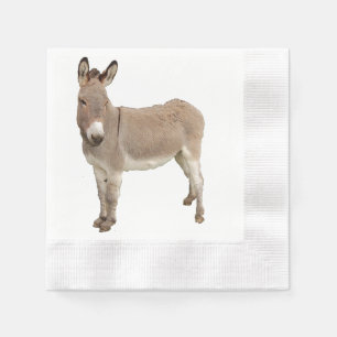 Cute Donkey Burro-foto Pappersservett