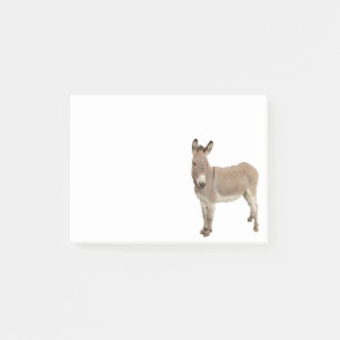 Cute Donkey Burro-foto Post-it Block