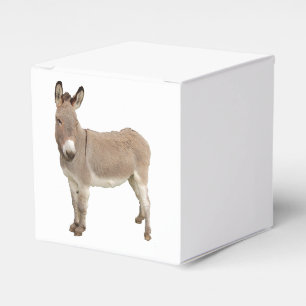 Cute Donkey Burro-foto Presentaskar