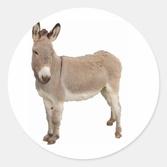 Cute Donkey Burro-foto Runt Klistermärke (Framsida)