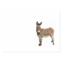 Cute Donkey Burro-foto