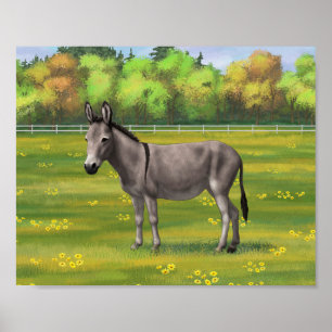 Cute Donkey Grått Burro in Pasture Poster