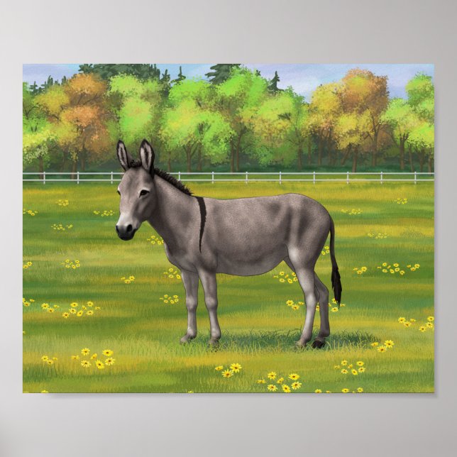 Cute Donkey Grått Burro in Pasture Poster (Framsidan)