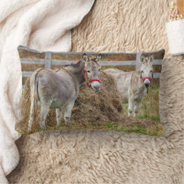 Cute Donkey Lumbarkudde