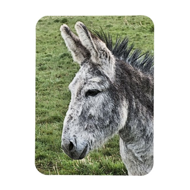 CUTE DONKEY MAGNET (Vertikal)