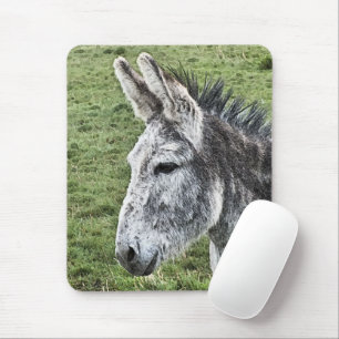 CUTE DONKEY MUSMATTA